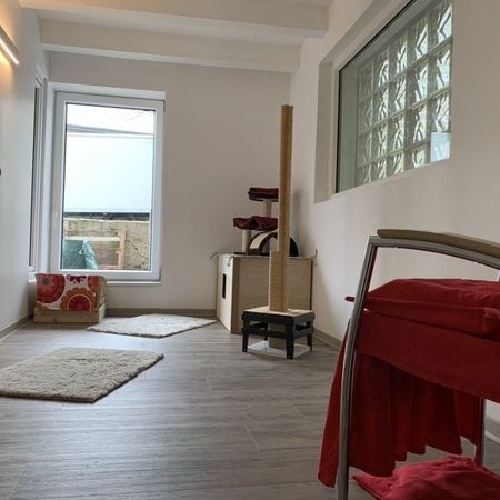 Katzenhotel in Karlsruhe